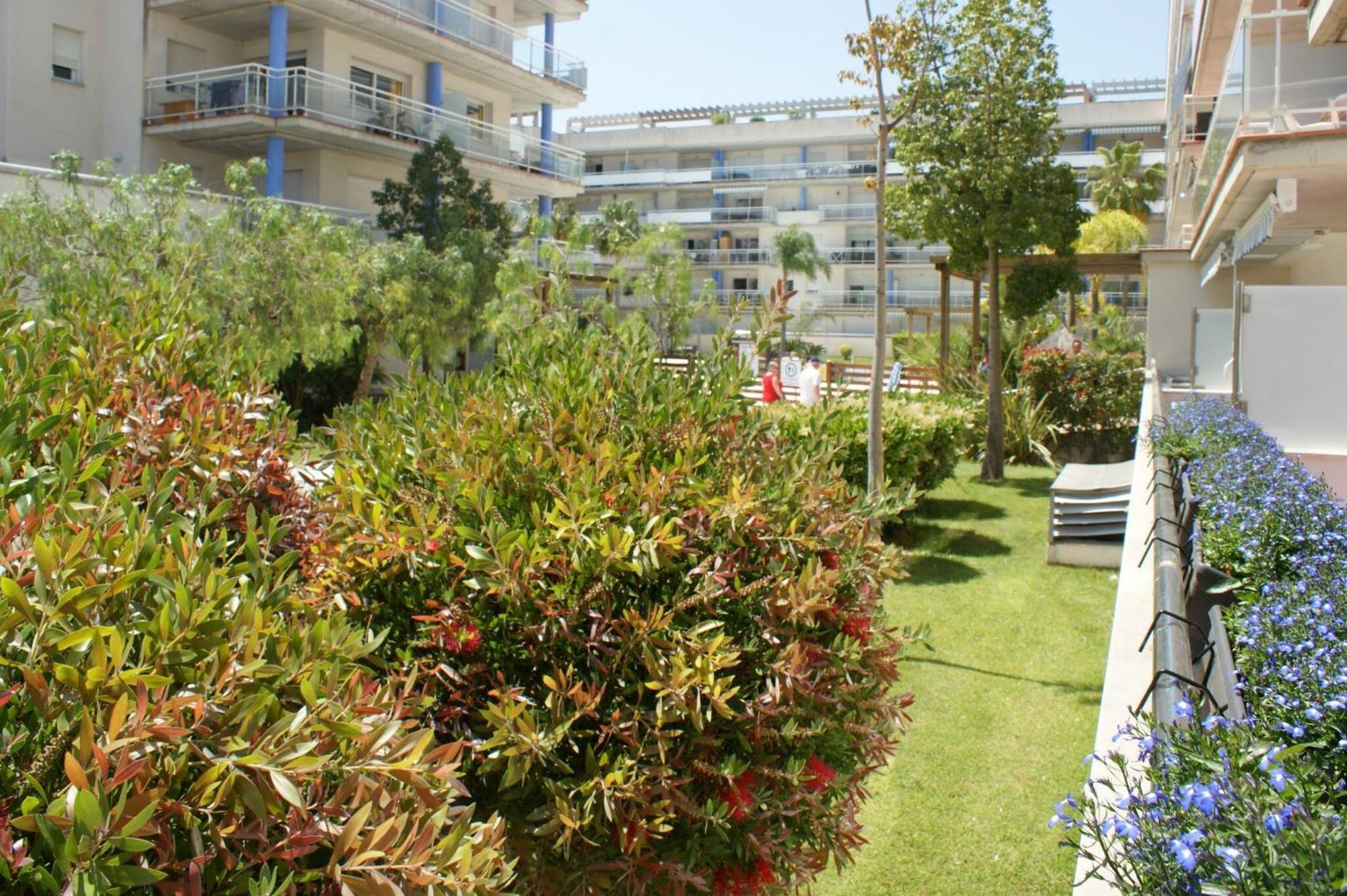 Precioso Apartamento Para 6 Personas Rosas Exteriör bild